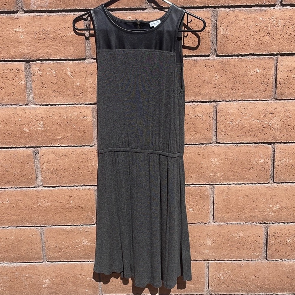 Splendid Charcoal Dress